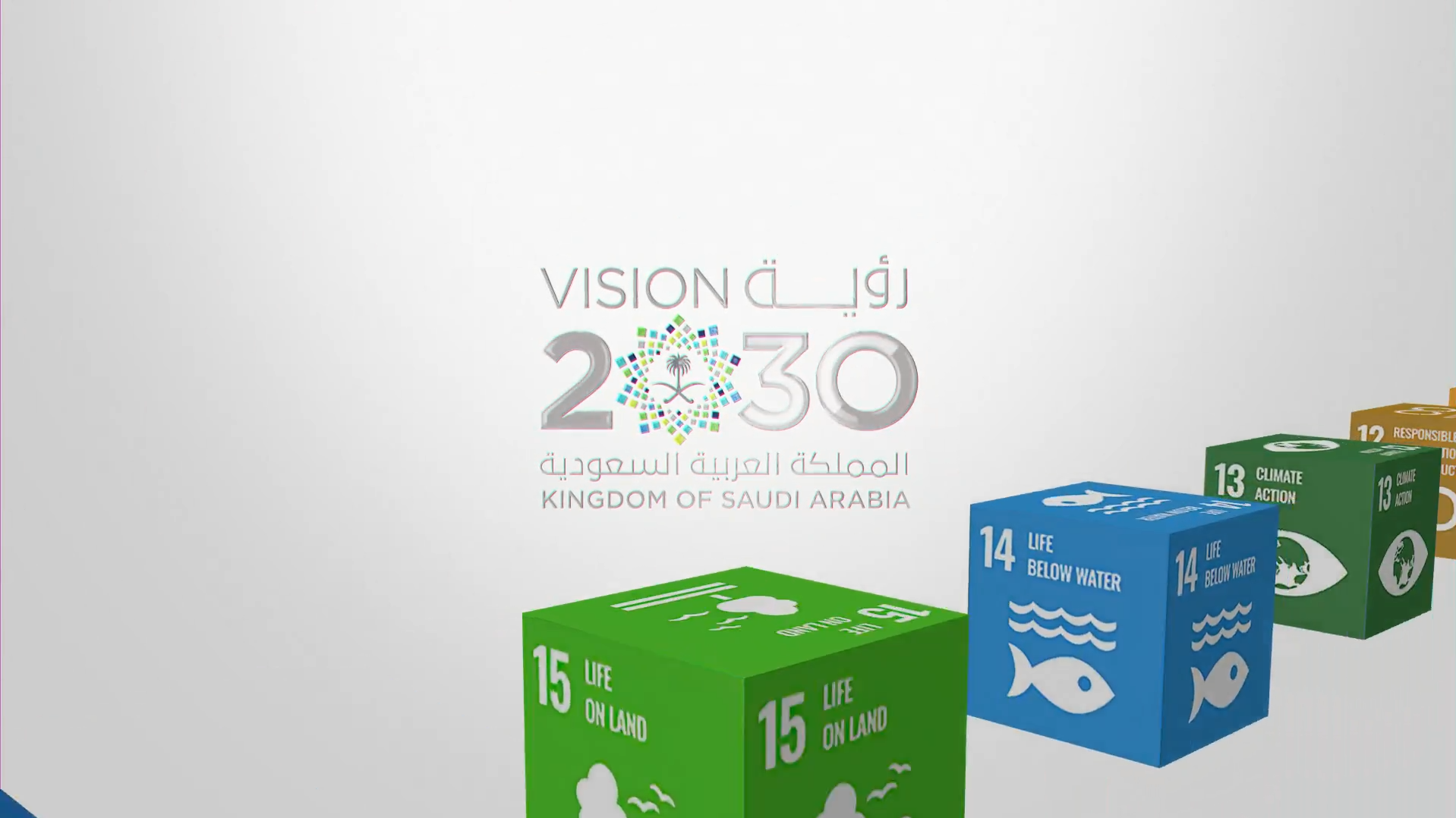 Majmaah University and Sustainable Development Goals 2030.